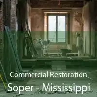 Commercial Restoration Soper - Mississippi