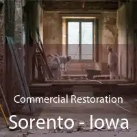 Commercial Restoration Sorento - Iowa