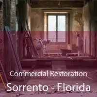 Commercial Restoration Sorrento - Florida