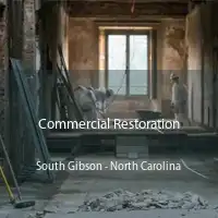 Commercial Restoration South Gibson - North Carolina