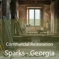 Commercial Restoration Sparks - Georgia