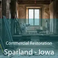 Commercial Restoration Sparland - Iowa