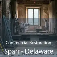 Commercial Restoration Sparr - Delaware