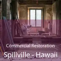 Commercial Restoration Spillville - Hawaii