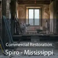 Commercial Restoration Spiro - Mississippi