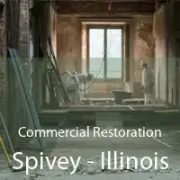 Commercial Restoration Spivey - Illinois