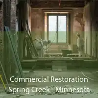 Commercial Restoration Spring Creek - Minnesota