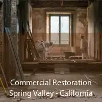 Commercial Restoration Spring Valley - California