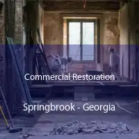 Commercial Restoration Springbrook - Georgia