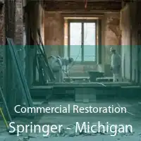 Commercial Restoration Springer - Michigan