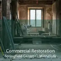 Commercial Restoration Springfield Gardens - Minnesota
