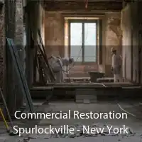 Commercial Restoration Spurlockville - New York