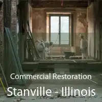 Commercial Restoration Stanville - Illinois