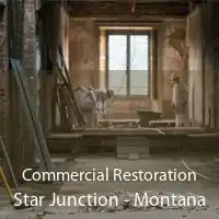 Commercial Restoration Star Junction - Montana