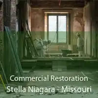Commercial Restoration Stella Niagara - Missouri