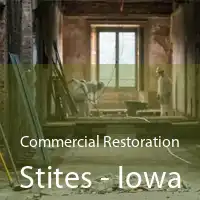 Commercial Restoration Stites - Iowa