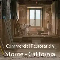 Commercial Restoration Storrie - California