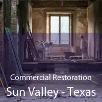 Commercial Restoration Sun Valley - Texas