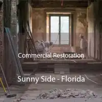 Commercial Restoration Sunny Side - Florida