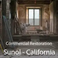 Commercial Restoration Sunol - California