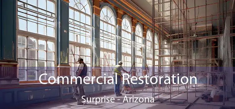 Commercial Restoration Surprise - Arizona