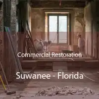 Commercial Restoration Suwanee - Florida