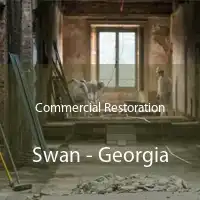 Commercial Restoration Swan - Georgia