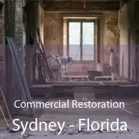 Commercial Restoration Sydney - Florida