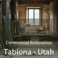 Commercial Restoration Tabiona - Utah