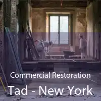 Commercial Restoration Tad - New York