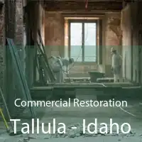 Commercial Restoration Tallula - Idaho