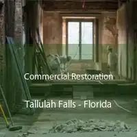 Commercial Restoration Tallulah Falls - Florida