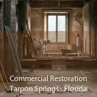 Commercial Restoration Tarpon Springs - Florida