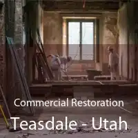 Commercial Restoration Teasdale - Utah