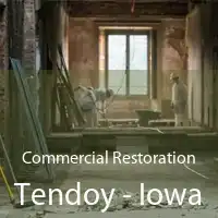 Commercial Restoration Tendoy - Iowa