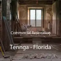 Commercial Restoration Tennga - Florida