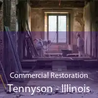 Commercial Restoration Tennyson - Illinois