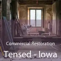 Commercial Restoration Tensed - Iowa
