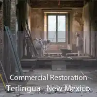Commercial Restoration Terlingua - New Mexico