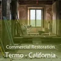Commercial Restoration Termo - California