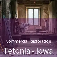 Commercial Restoration Tetonia - Iowa