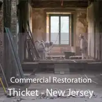 Commercial Restoration Thicket - New Jersey