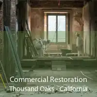 Commercial Restoration Thousand Oaks - California