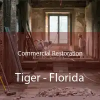 Commercial Restoration Tiger - Florida