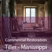 Commercial Restoration Tiller - Mississippi