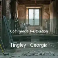 Commercial Restoration Tingley - Georgia