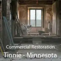 Commercial Restoration Tinnie - Minnesota