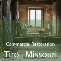Commercial Restoration Tiro - Missouri