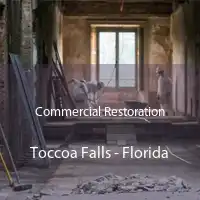 Commercial Restoration Toccoa Falls - Florida