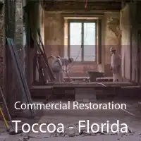 Commercial Restoration Toccoa - Florida
